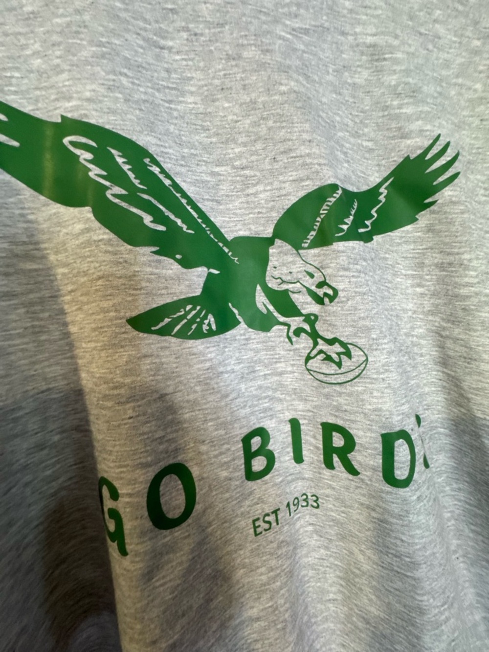 Gray Sweatshirt with Green Eagle 'Go Birds' Graphic - Picture 2 of 3